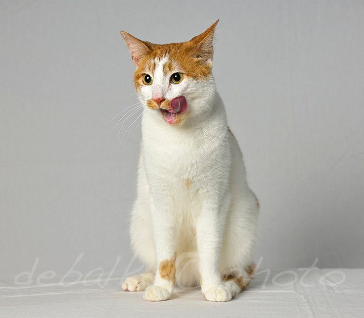 RedBank_Latke_05