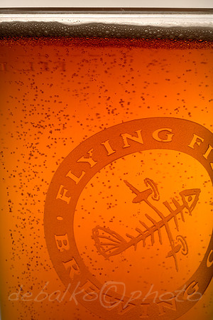 flyingfish_039